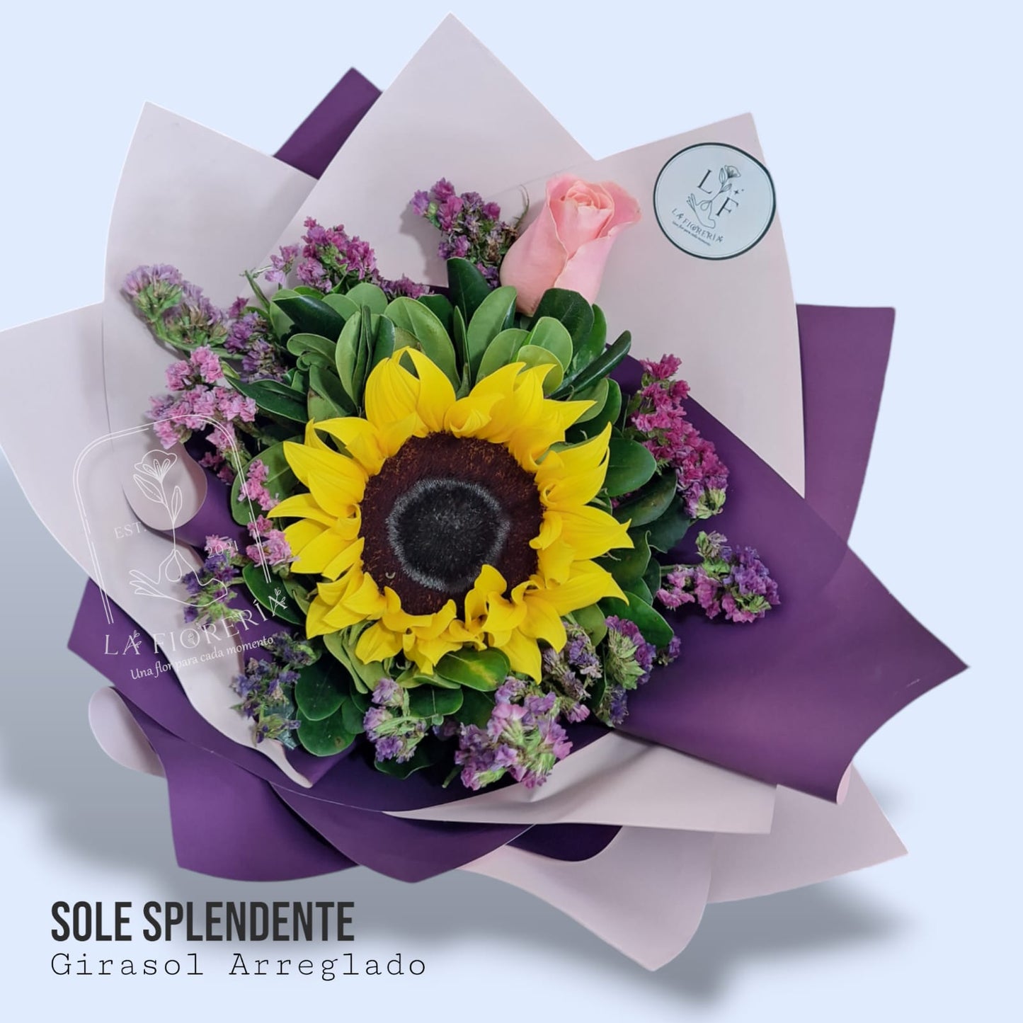 Sole Splendente